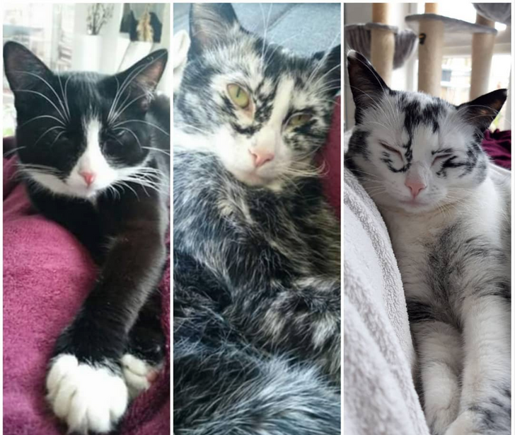 23fea257ee83ee06ac3b2b8510