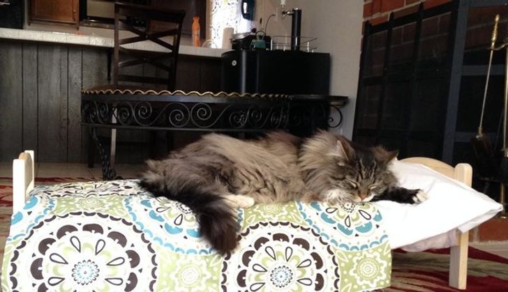 2404735e7083dfab0de5f34030 2404735e7083dfab0de5f34030