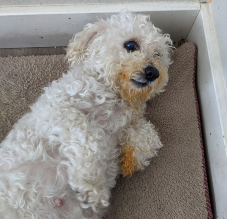 2407ba56b48aa3ce53f4798c82