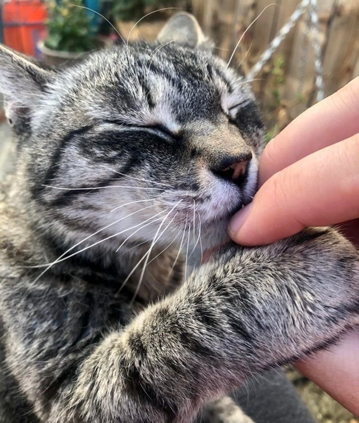 240ceb51239301de4f52fd033f