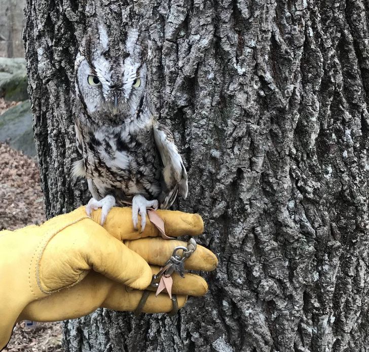 240ff858b0a85a1861f24a7e92