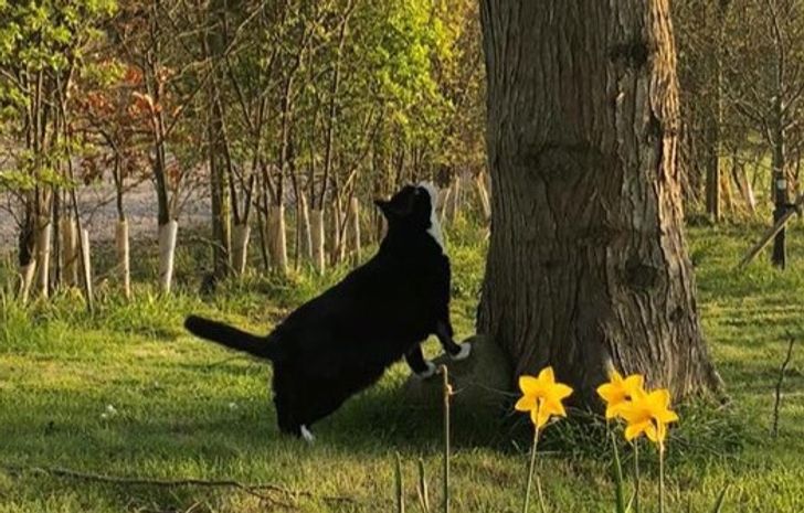 24109c5cdca2d9caaf06cdc9bb