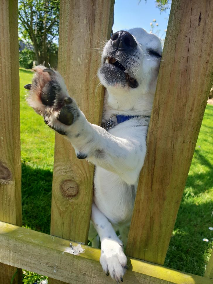 2425c2585b943ea639c17c7e15