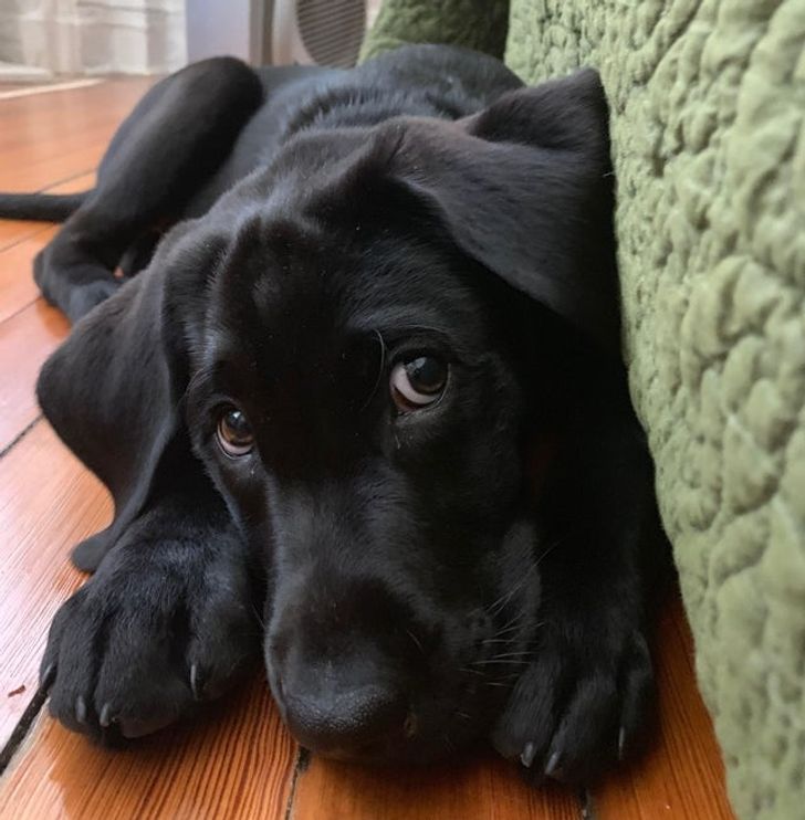 2428f257518413004cdd8675b1