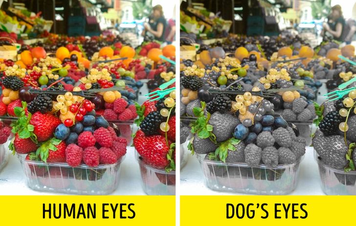 24314d5b068acfe0285a50fc95