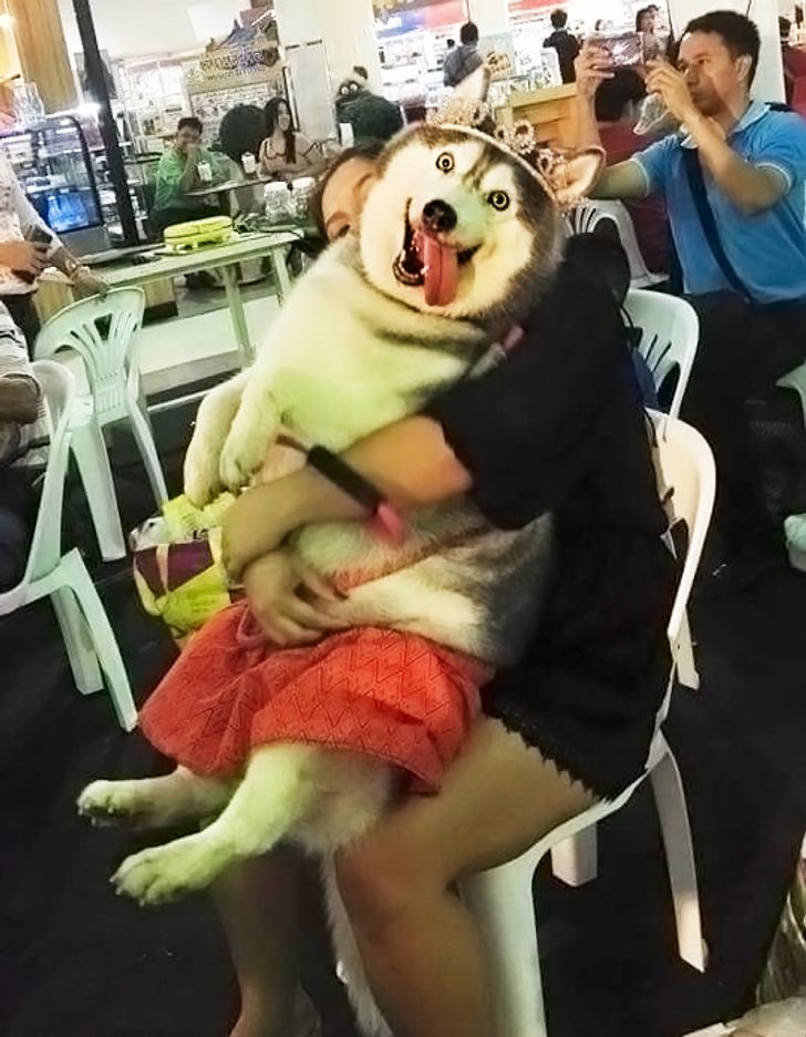 2439ab5859b1493bdc0aa9a5f1