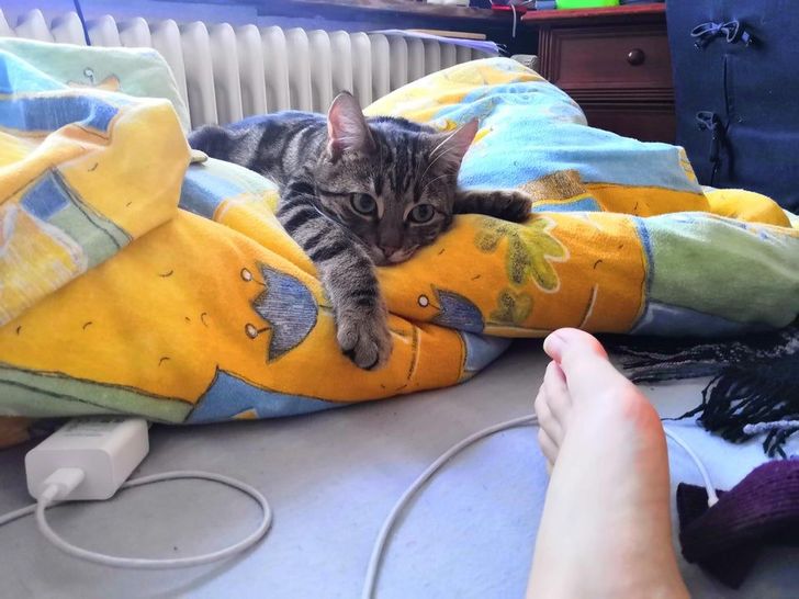 243d9f52ce916cfcd8f24adac1