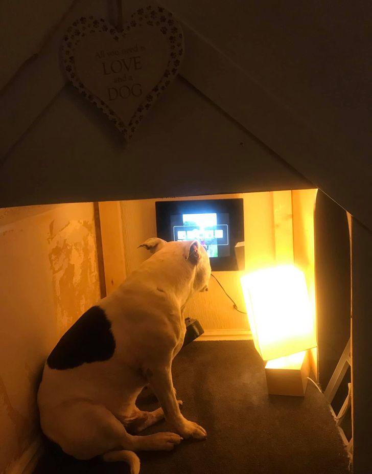 2442025417b780f17411ab2fc8