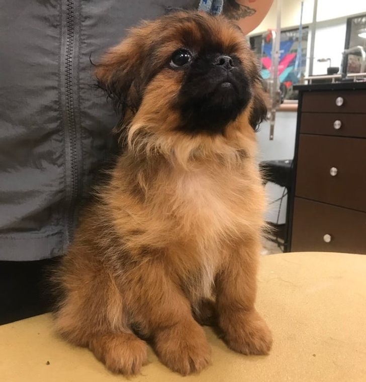 2453115401a0bb1a9ccebe078f