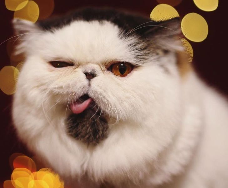 24534253f0921c03646862fe54