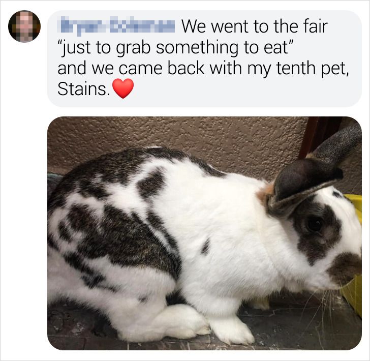 2455c85d5c97e557dbb8a4ed81