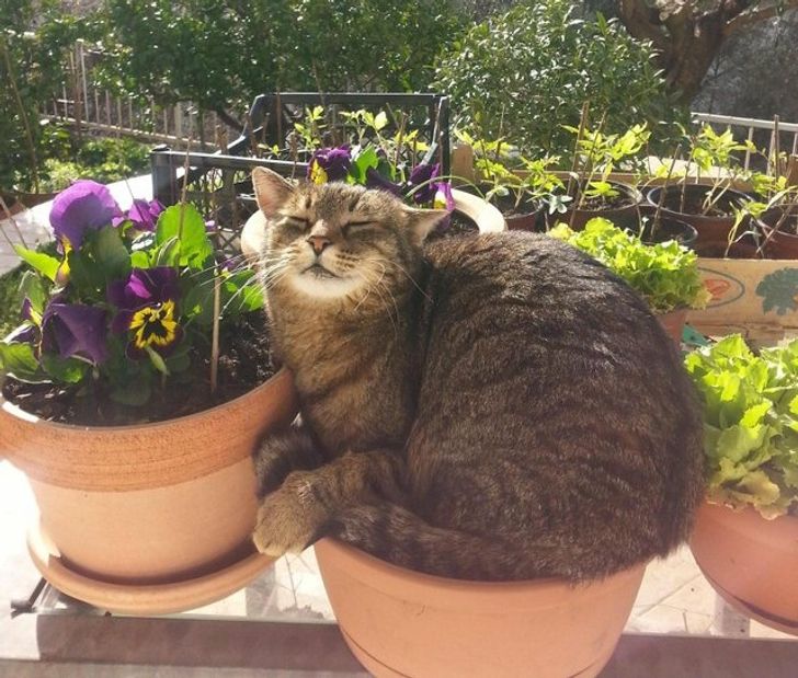 2457fb57ab956c2fd3ad95c3e3