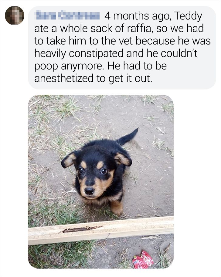 245ad25585ac23db1c7cd4006d