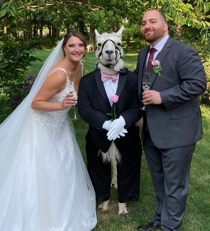 2460f252fbace0cb6e42170c3d