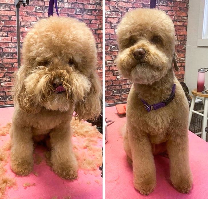 2461a05977b952d9ba5c5d5cbb