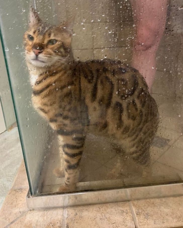 246ab45e228e763d3f5b67b6c8