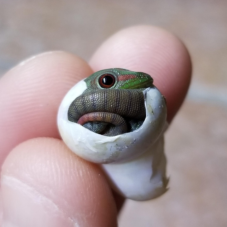 247130501f90eee7c8f250eea5 247130501f90eee7c8f250eea5