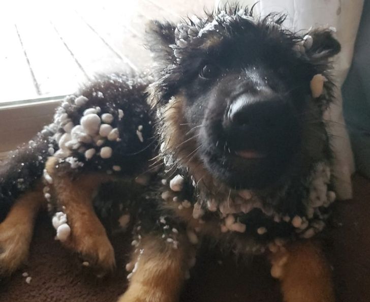 24749d5e4988656d45ee5635d8