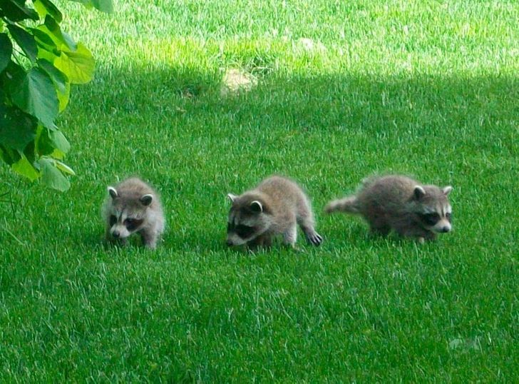 2481ac54df98cab1a6f4ef0a06