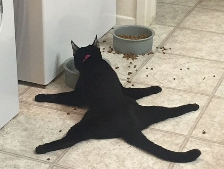 24856d587d85a2b6432811b97a