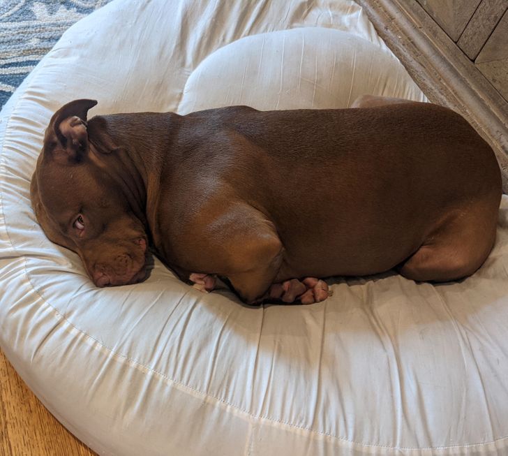 24985057d2a6ab5433608d53da