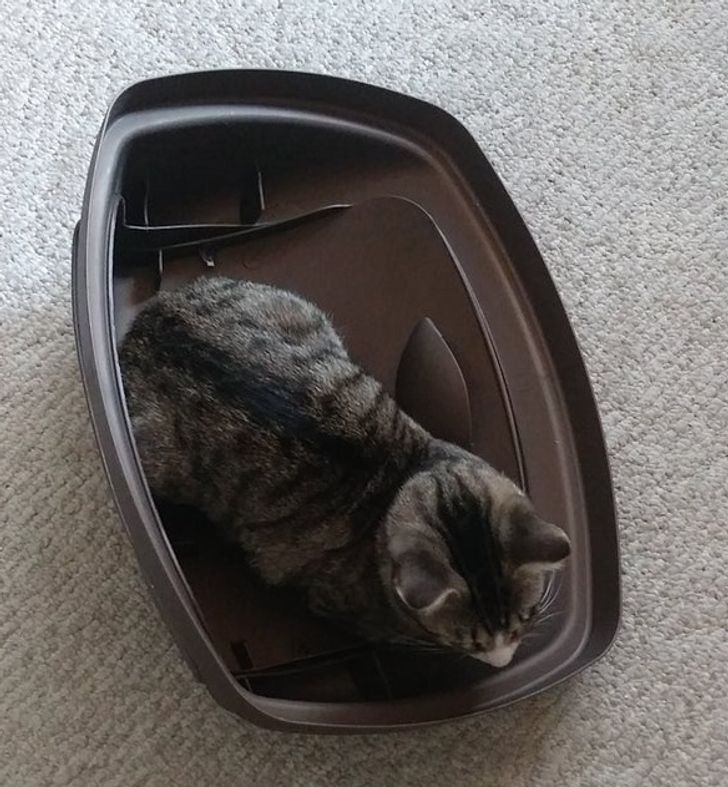 249d855055a2a3216f82af3be9