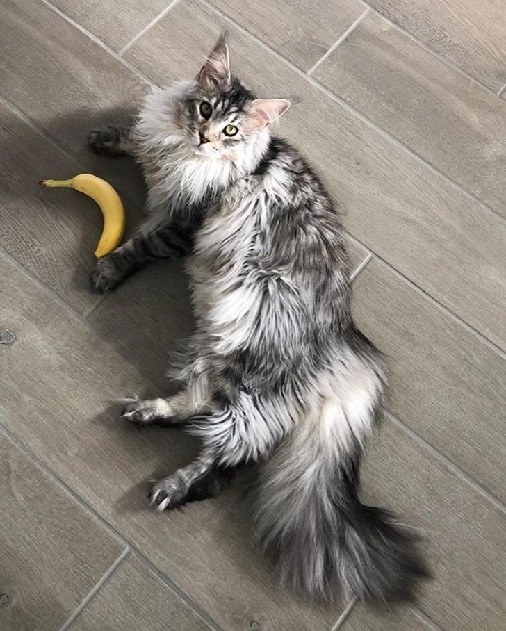 249f3852ecb8f8e555ffc6094b