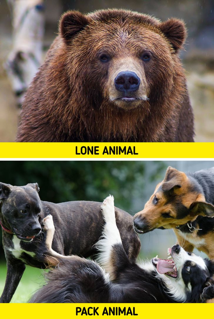 24a25656529d7364d913595c7e