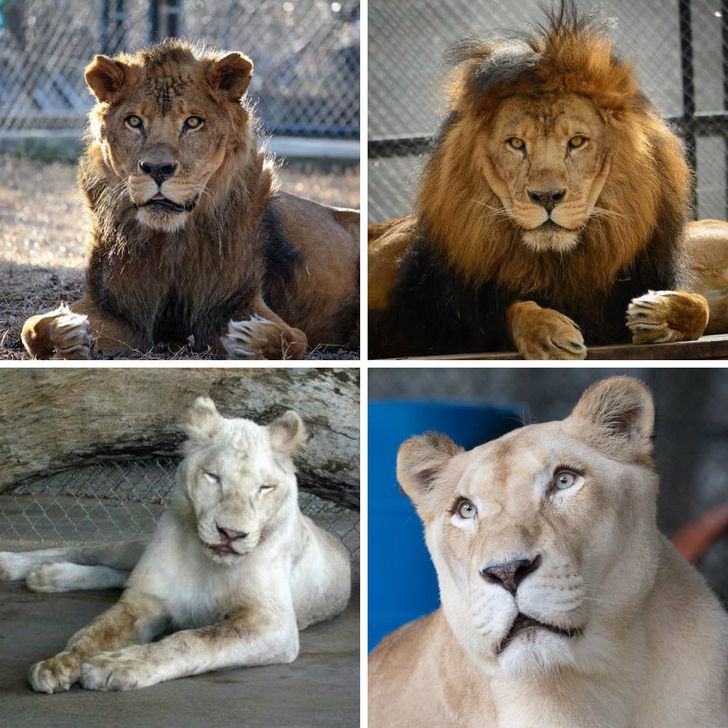 24a86b5409838ecfde76c64a1f