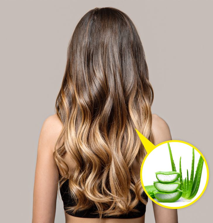 24ac965c15a8412c0cf79ebcdb