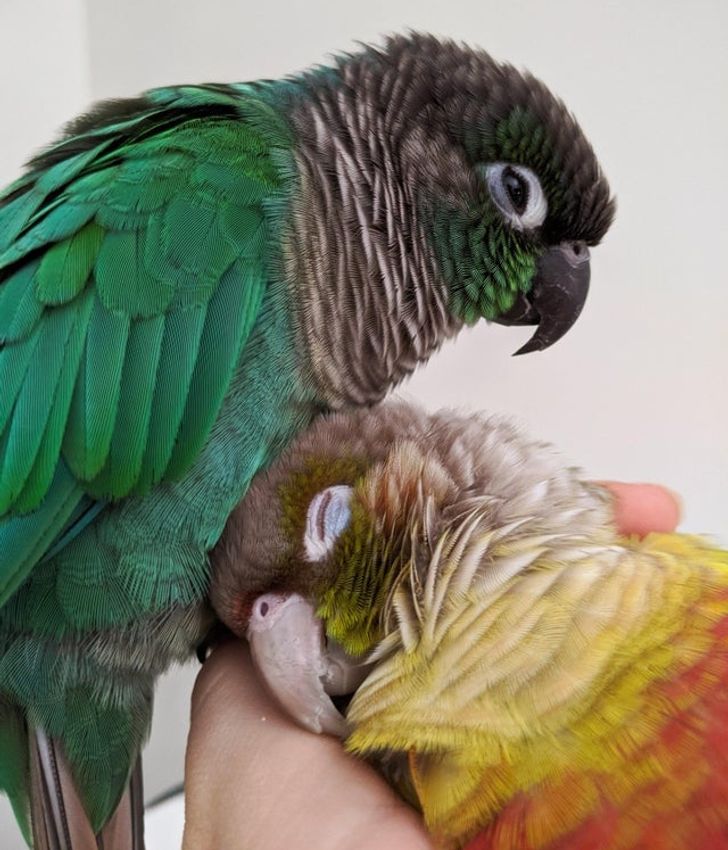 24c63953a2b143619285defa6a