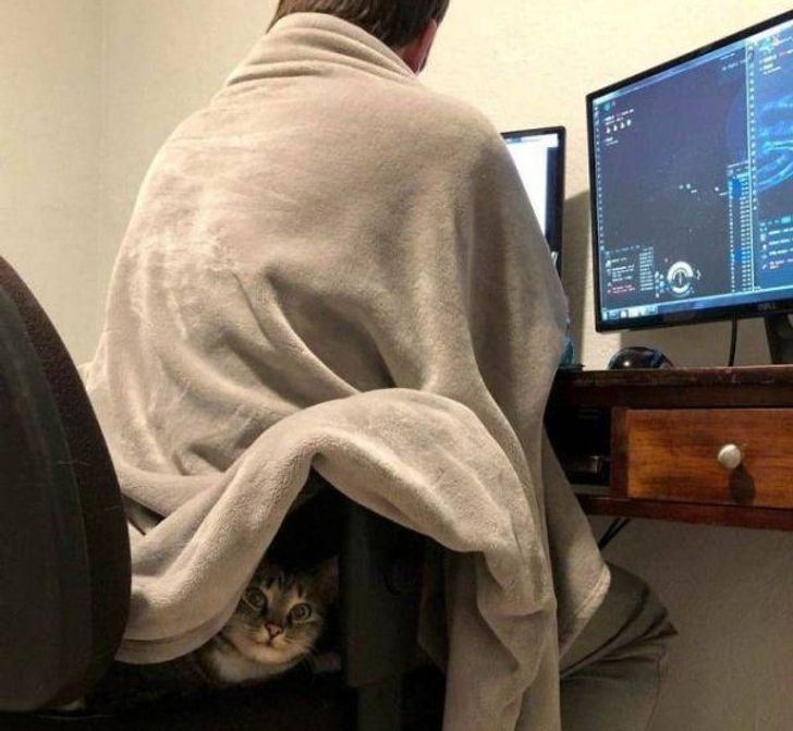 24c82155eaa14dde0965f2c951