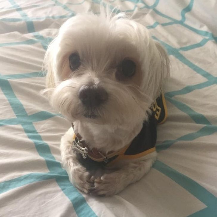 24e54f5788b86a22c131fb9c7d-1