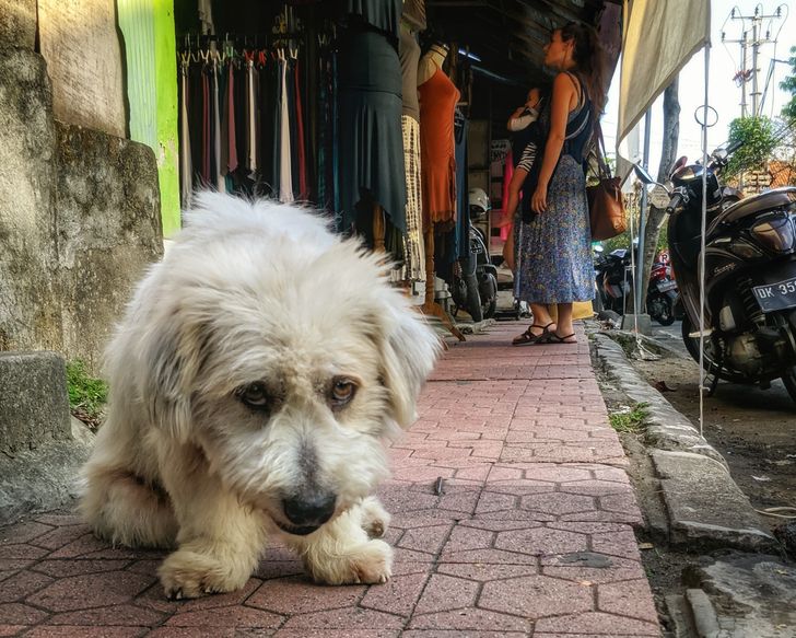 24e95b5dc5ae86c2dba5a6082f