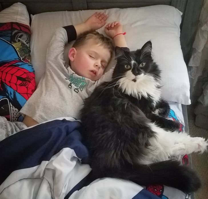 24e9c651ce8e8d11640b467fbd