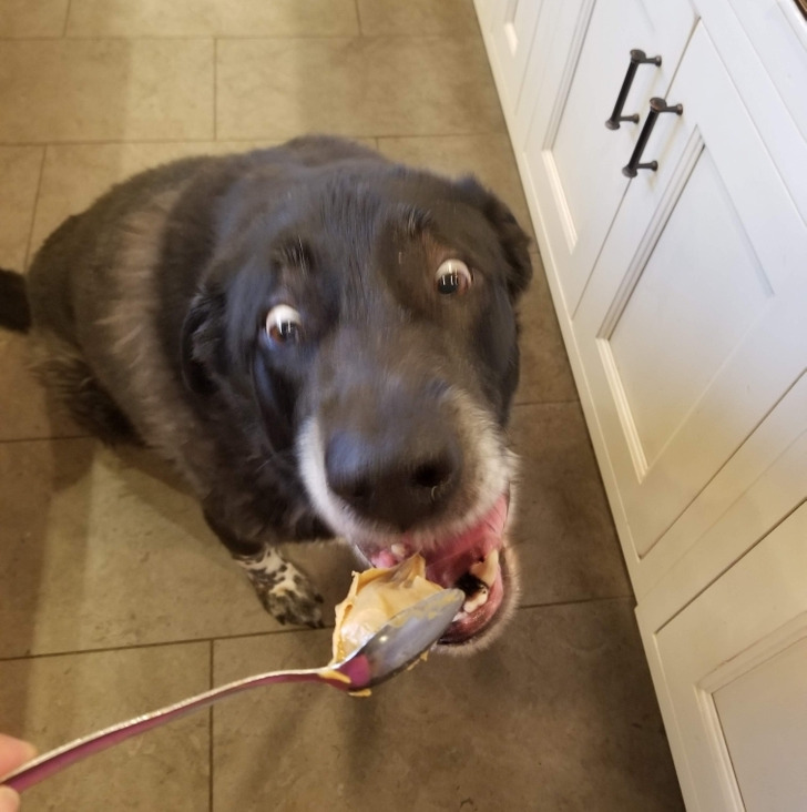 24f31e52c3a16a883f26a35947 24f31e52c3a16a883f26a35947