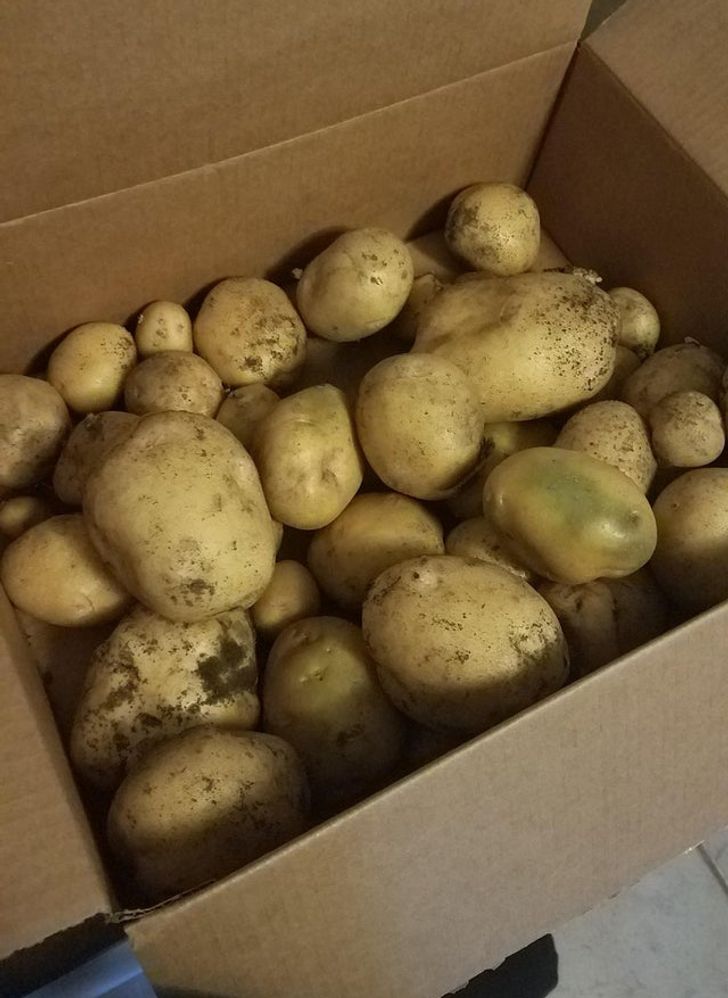 24fa45526088a72564667b41ad