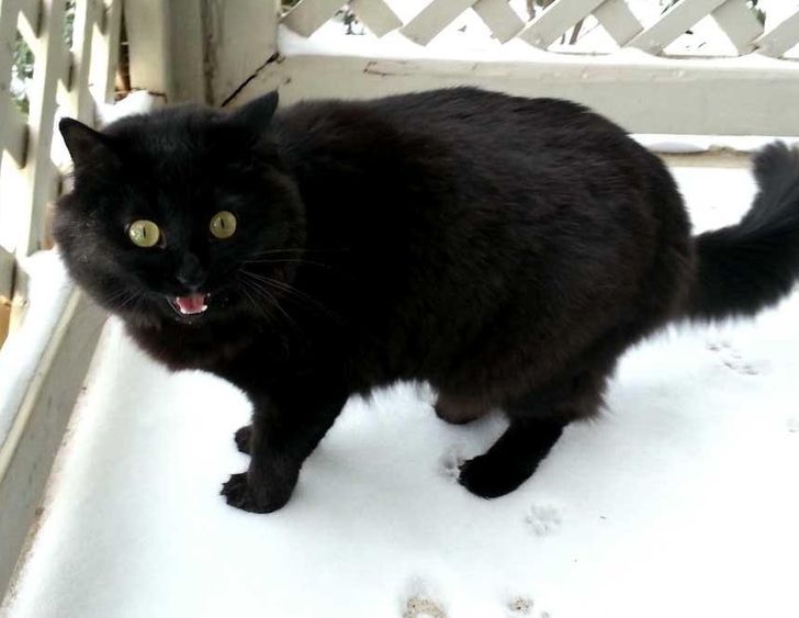 24fc8e57b3b0a0c9a2783f0883