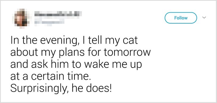 24ff2e54fc8ce771c53fe8344e