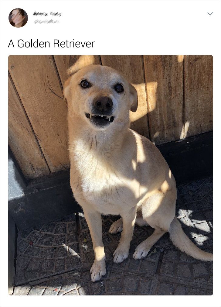 2504065afa95684cab9d914c20