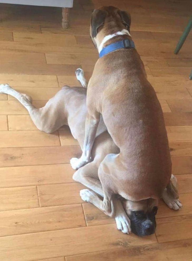 2505345d0a8feaff09bcca3064