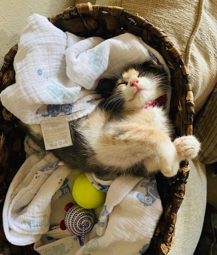 2509ac58dcb3e7719431566312