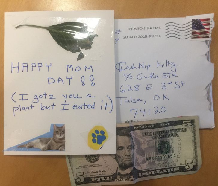 250ba6584d8c414ada40be9411