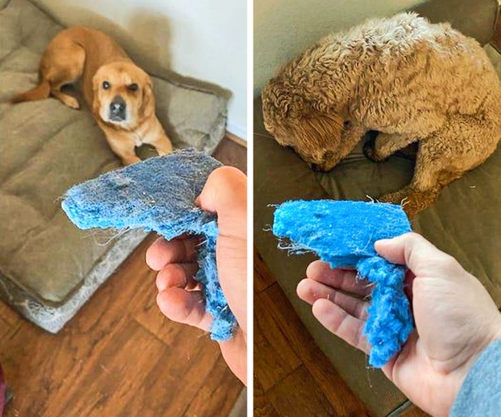 25158c5bf98d9008c1ddba0fd1