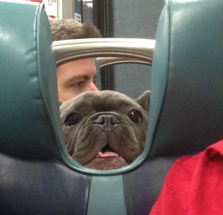 251cd354149c0a336eed13e60b