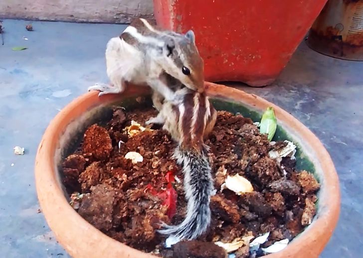 2522e95ea7a42a86a1118c25ec