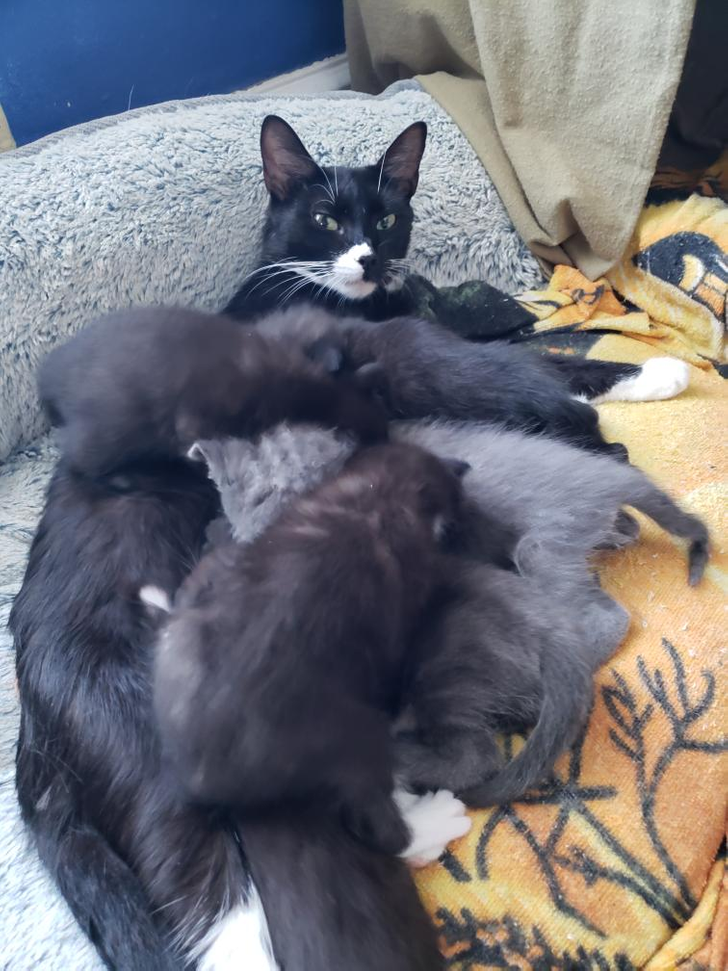 25345f5db3a28718d760c9fe84 25345f5db3a28718d760c9fe84