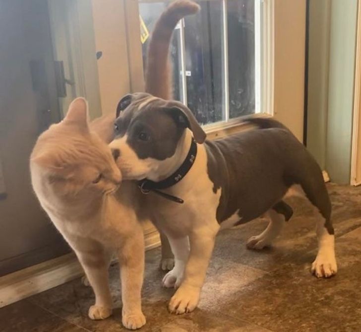 2541885445a8e3e8876f7ff66b