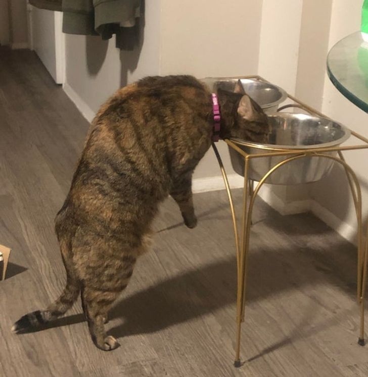 2544c5591fbb7036b9818e38ce