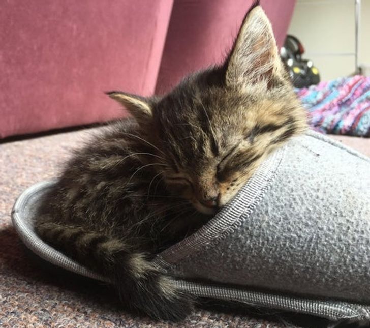 25485d513eacb476ffd6df3bf4